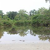 Costa Rica20150331-1801-0434